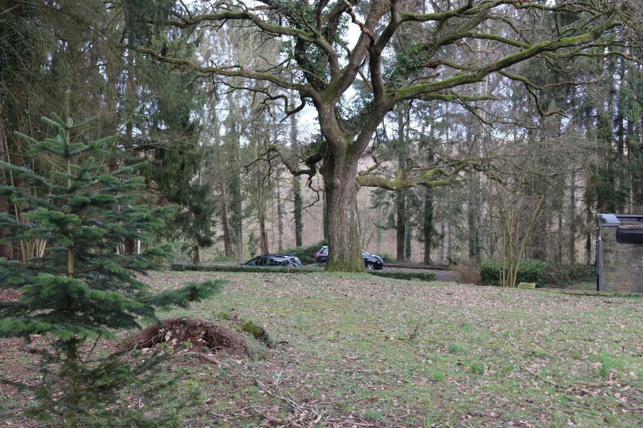 Le Portail Des Ardennes Villa Nassogne Luaran gambar